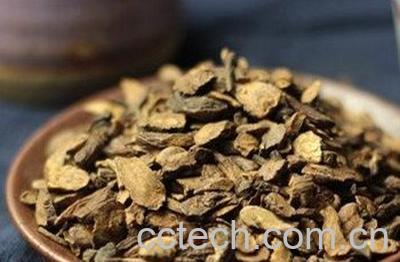 蒲公英根茶怎么炒-1