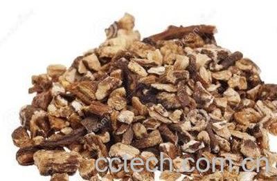 蒲公英根茶的家庭做法-0