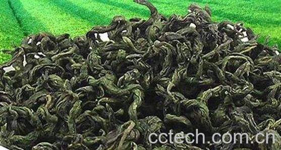 刺五加茶的功效与作用-0