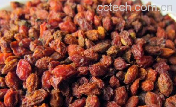 沙棘果泡酒功效与作用-0