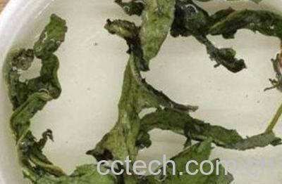 婆婆丁泡水喝的功效与作用 -0