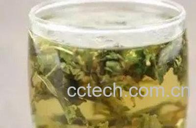 婆婆丁泡水喝的功效与作用 -1