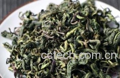  蒲公英茶的副作用和禁忌-0