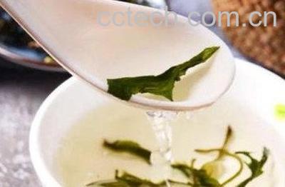 女性喝蒲公英茶的好处-1