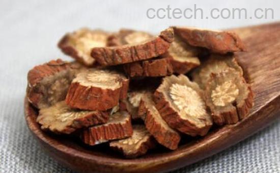 女性喝丹参茶有什么好处和坏处-1