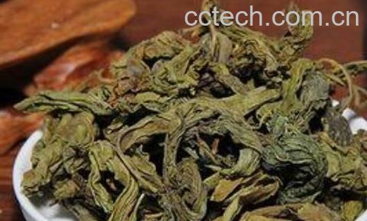 丁香茶的副作用和禁忌-1