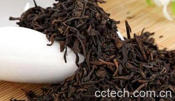 什么人不适合喝六堡茶-0