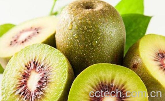 猕猴桃怎么吃 猕猴桃的吃法小窍门-0