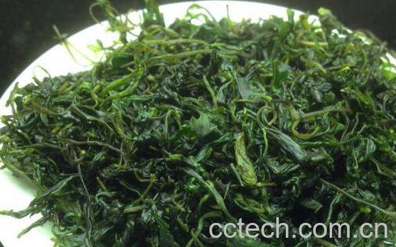 毛冬青茶有什么功效 喝毛冬青茶有什么好处-1