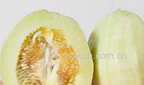 香瓜籽的功效与作用-1