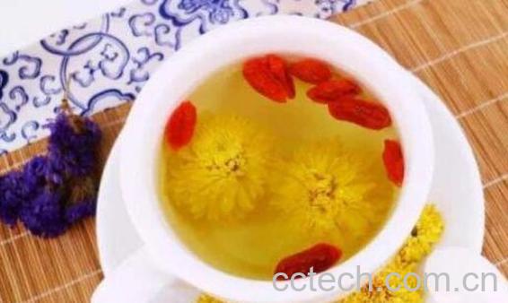 雏菊怎么泡水喝 雏菊的功效与作用-1