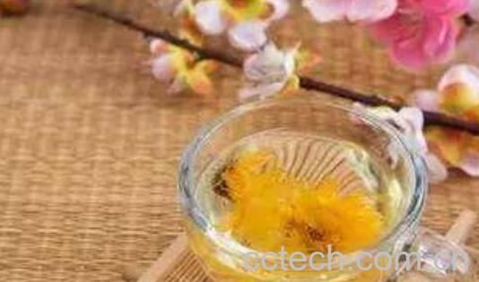 雏菊怎么泡水喝 雏菊的功效与作用-0