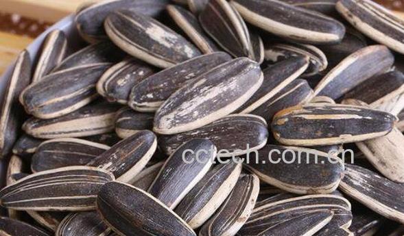 葵花籽的功效与作用 葵花籽的营养价值-1