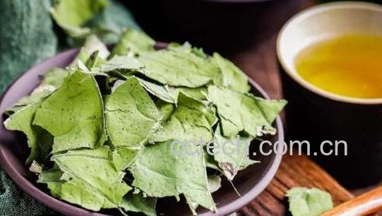 什么茶最刮油脂减肥最好-1