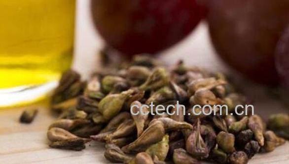 葡萄籽的功效 女人吃葡萄籽的副作用-0