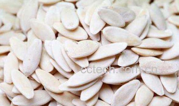 香瓜籽泡水喝的功效与作用-1