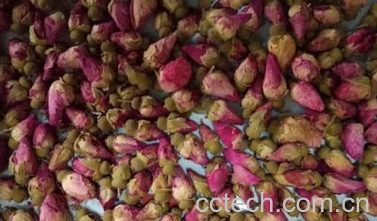 玫瑰花瓣的用途有哪些 玫瑰花瓣的功效与作用-1