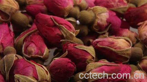 吃玫瑰花的好处 玫瑰花的功效与作用-0