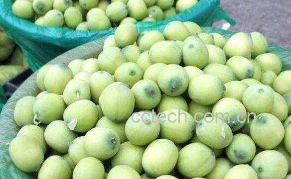 新鲜莲子怎么吃好吃 新鲜莲子怎么保存-1