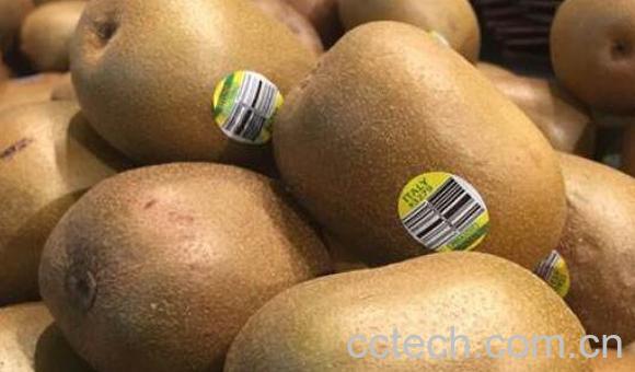 猕猴桃什么时候成熟 猕猴桃的催熟方法-1