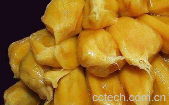 菠萝蜜如何剥皮 菠萝蜜怎么剥皮小窍门-0