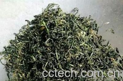  蒲公英茶哪些人不宜喝-0