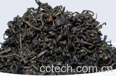  蒲公英茶哪些人不宜喝-1