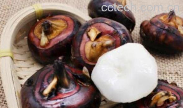 荸荠怎么剥皮 荸荠如何去皮-0