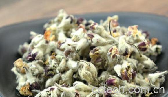 苹果花茶的功效与作用 苹果花茶怎么泡-1