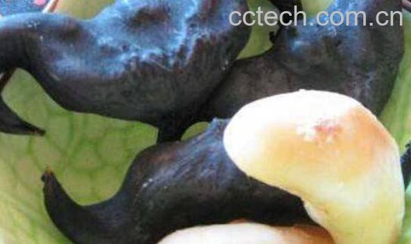 菱角怎么吃 菱角怎么剥壳-0