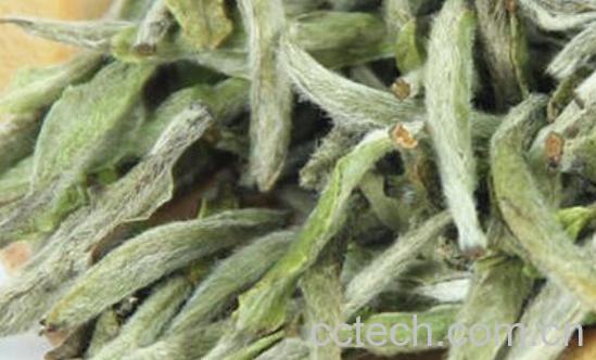 白毫银针怎么泡 白毫银针的功效-1