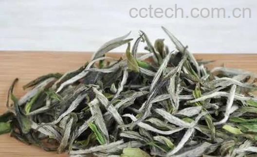 白毫银针怎么泡 白毫银针的功效-0