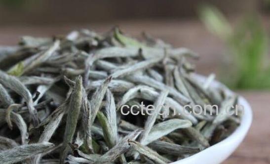 白毫银针如何挑选-0