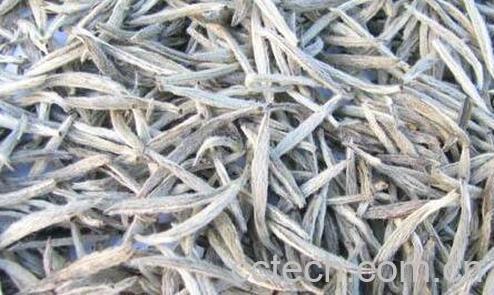 白毫银针如何挑选-1