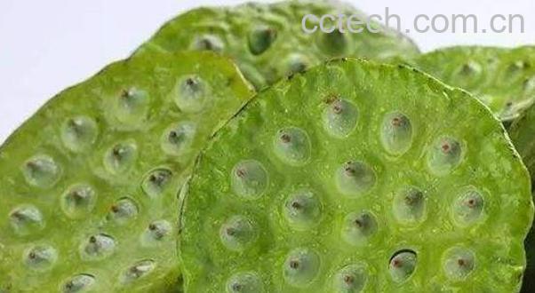 莲蓬煮鸡蛋有什么作用-0