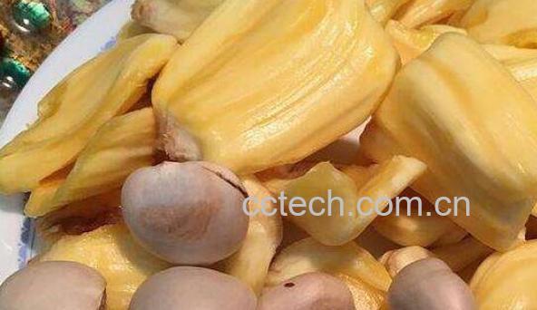 菠萝蜜的核怎么吃 菠萝蜜核的营养价值-1