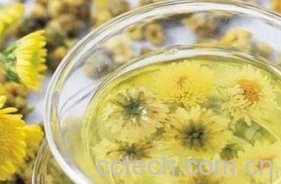 蒲公英菊花茶的功效与作用及禁忌-0