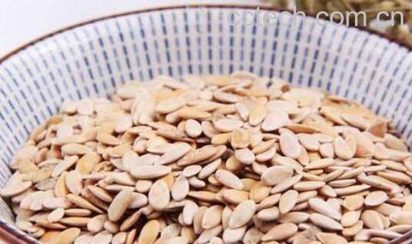 甜瓜子的功效与作用-0