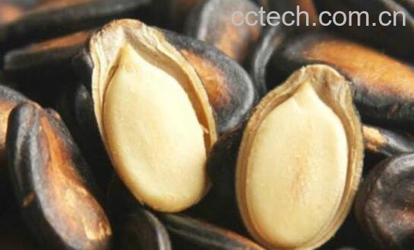 西瓜籽的作用和功效-0