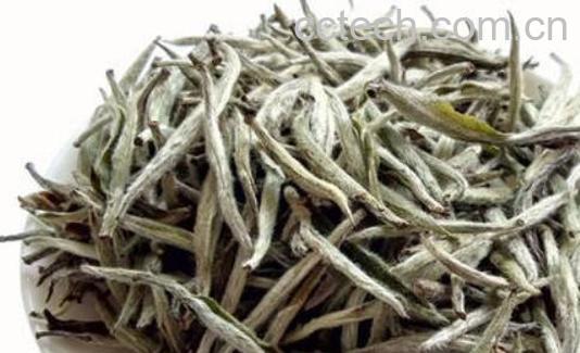 福鼎银针和政和银针的区别-1