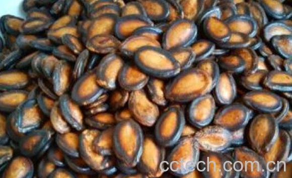 西瓜籽的作用和功效-1