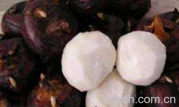 马蹄怎么去皮 马蹄去皮小窍门-0