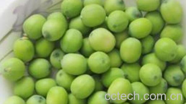 莲蓬籽生吃的作用与功效-1