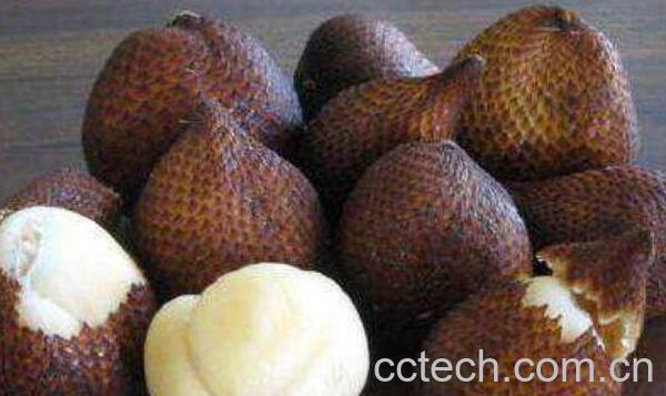 蛇皮果怎么吃 吃蛇皮果的好处和功效-0