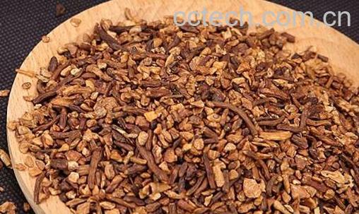 苦菜根茶怎么做 苦菜根茶的制作方法-1