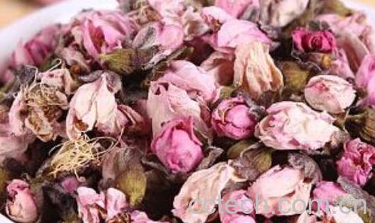 桃花茶怎么喝好 桃花茶的正确喝法-1