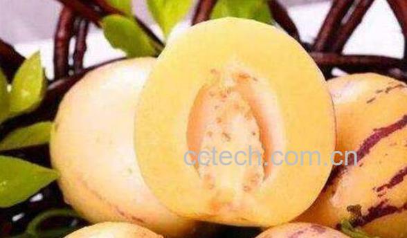 新鲜人参果怎么吃法 人参果怎么吃图解-1