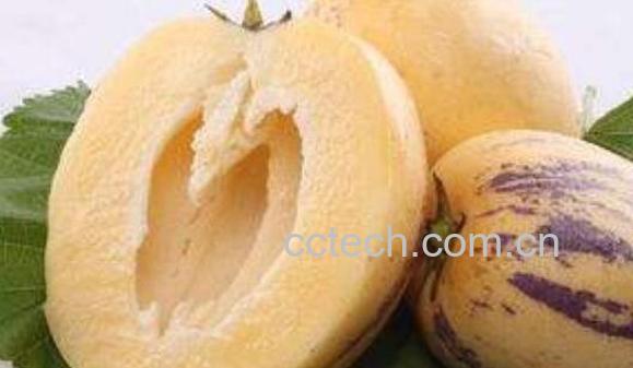 新鲜人参果怎么吃法 人参果怎么吃图解-0