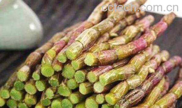 铁皮石斛怎么吃 铁皮石斛的正确食用方法-0
