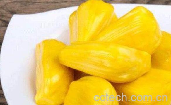 如何挑选菠萝蜜 如何看菠萝蜜是否成熟-0